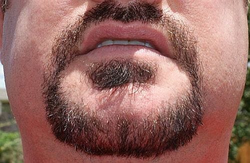 Outside after using Harvest Moon natural beard dye