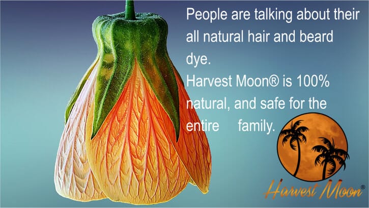  Harvest  Moon  All Natural Henna  Hair Dye 